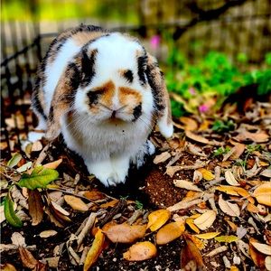 Meet your Posher, Renee